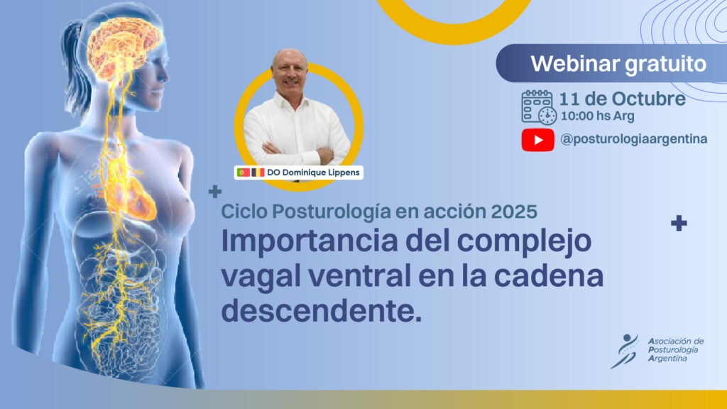 Webinar gratuito: La importancia del complejo vagal ventral en la cadena descendente